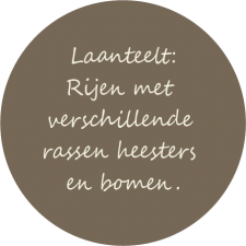 BULLIT LAANTEELT 210725